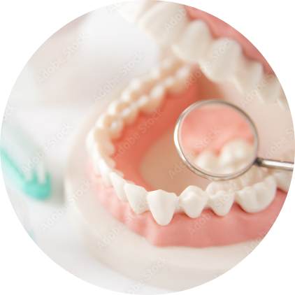 定期健診・予防歯科